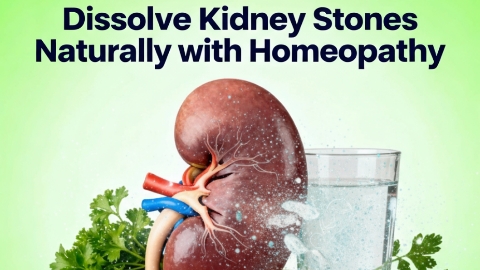 Complete Guide to Kidney Stones: Natural Homeopathic Treatment & Prevention