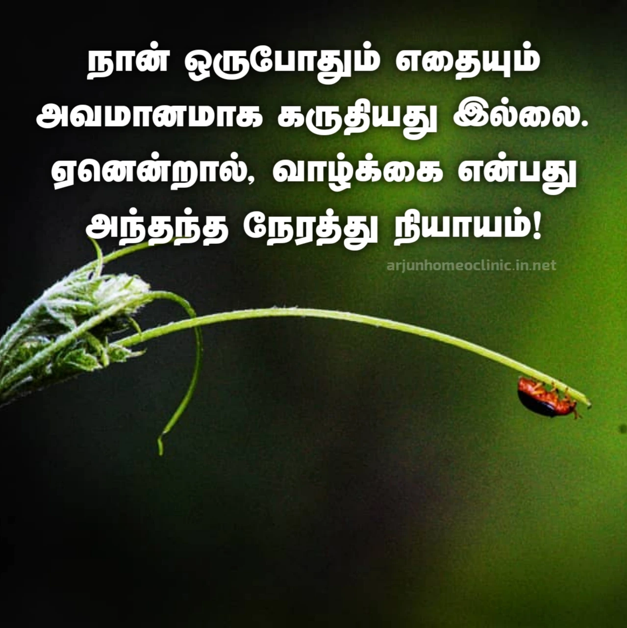 அவமானம் தத்துவ வரிகள் வாழ்க்கை அவமானம் வரிகள்