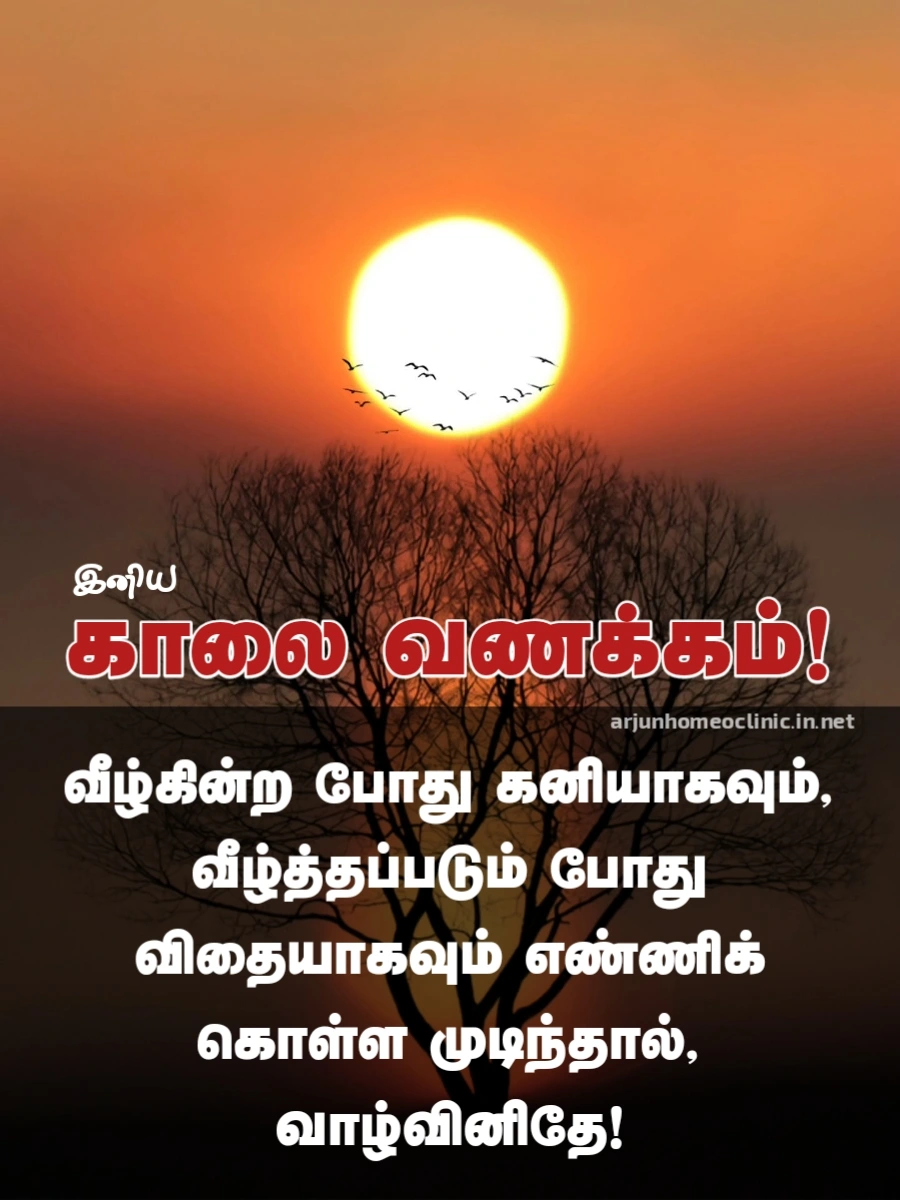 kaalai vanakkam kavithai