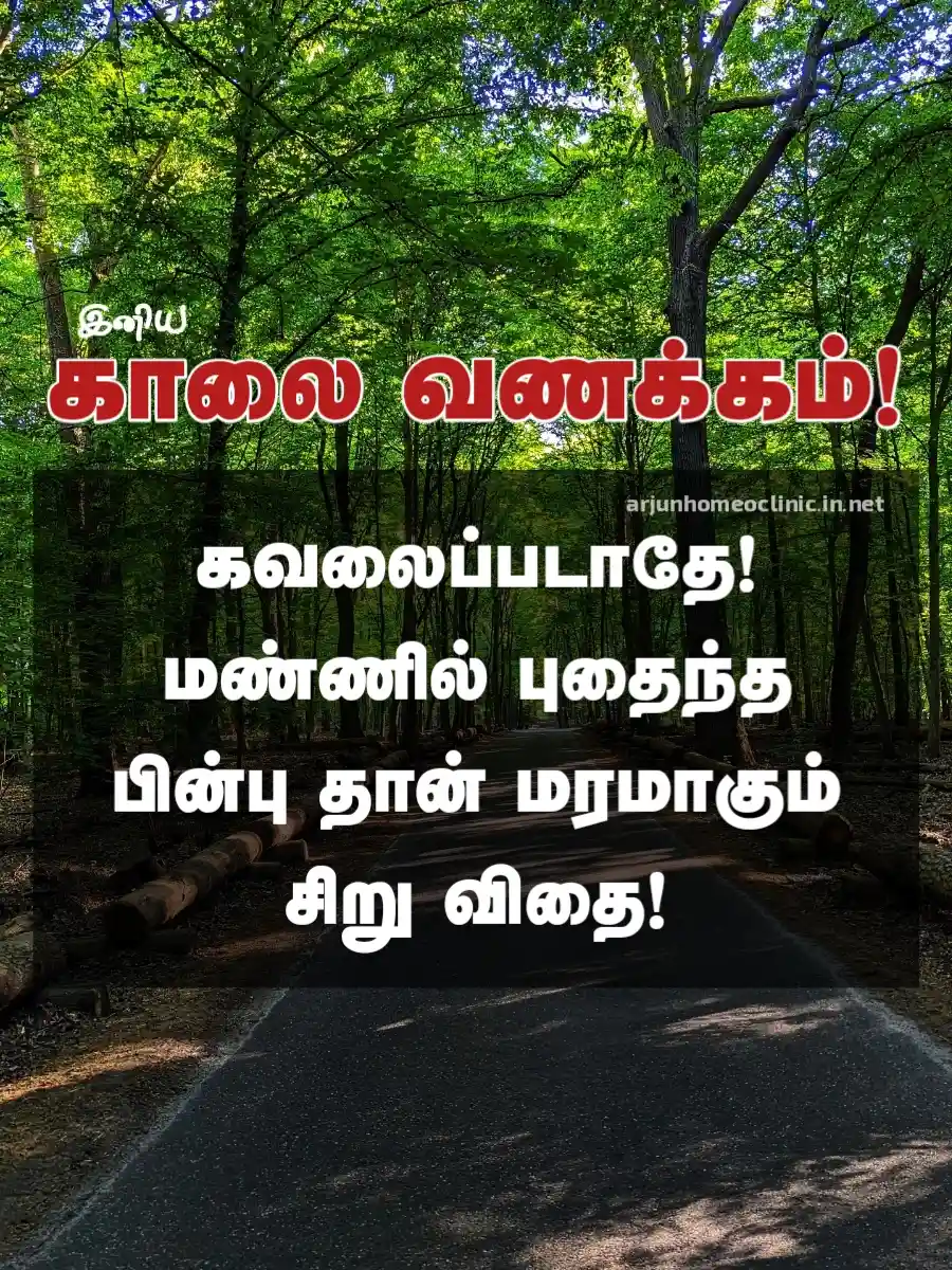 kaalai vanakkam in tamil words