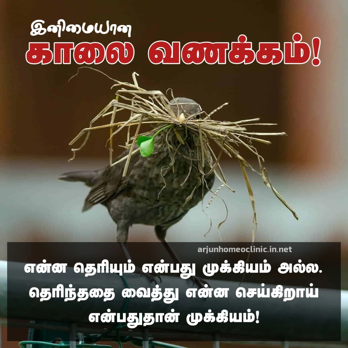 good morning images tamil good morning images in tamil hd