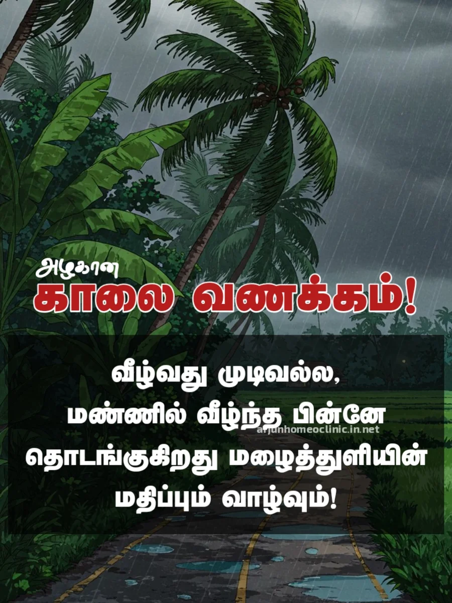 kaalai vanakkam in tamil words kaalai vanakkam good morning tamil quotes