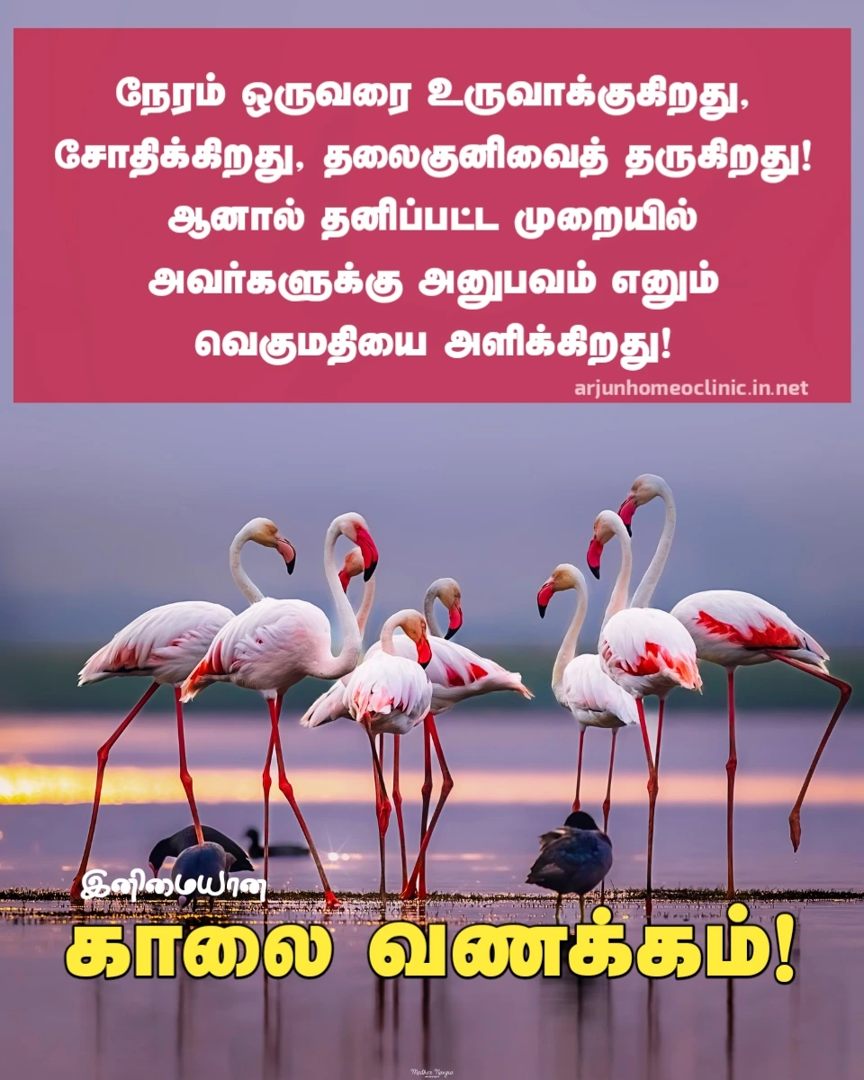 காலை வணக்கம் காதல் கவிதைகள் good morning images tamil