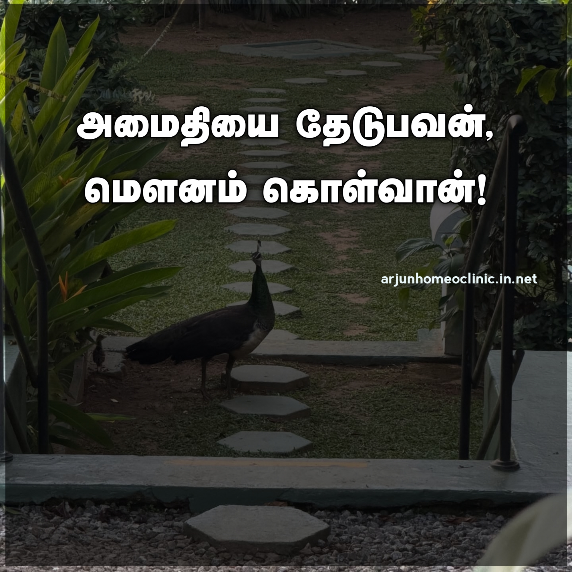 Amaithi Quotes in Tamil
